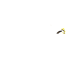 905