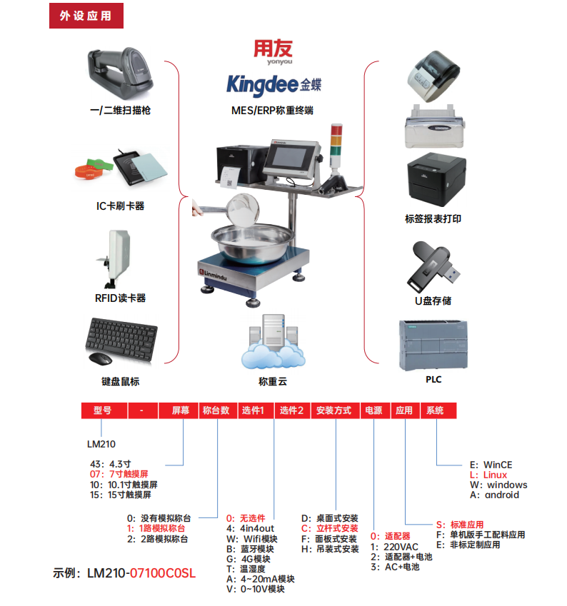 JZ-LM210智能儀表 (2)