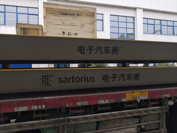 賽多利斯汽車(chē)衡11