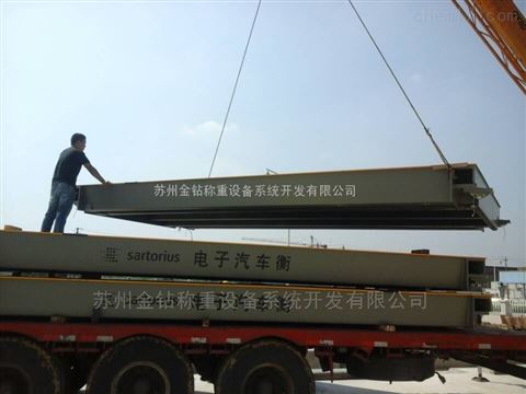 賽多利斯汽車(chē)衡13