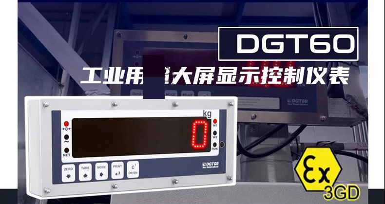 DGT60 DGT60